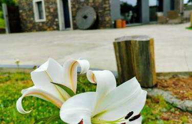 Quinta de São José - Foto 17