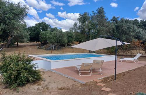 Casa da Azeitona T1 - Monte do Serrado de Baixo - Foto 10