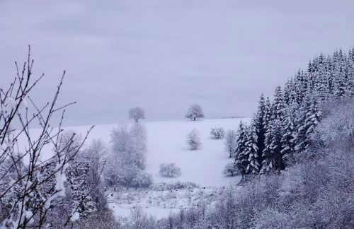 Haus Johannes - Foto 36