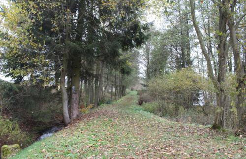 ZumSeehörnchen Haus Schmetterling - Foto 31