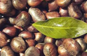 "LA TAVERNA" B&B - Foto 33