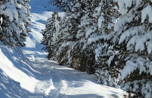 Residence Alpenrose - Foto 62