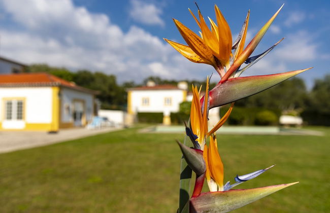 Quinta do Pé Descalço Guesthouse Sintra - Foto 69