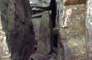 The Bird House near Fall Creek Falls State Park - Foto 62