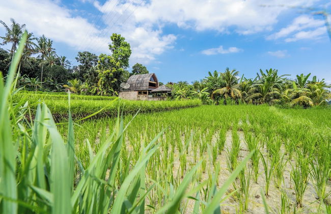 Pondok Carik Villa - Foto 22