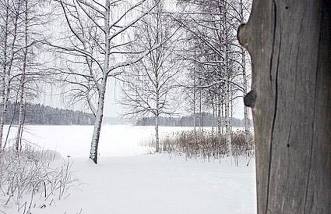 Kopinkallio 1 - Foto 21