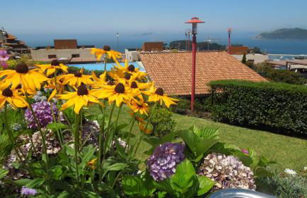 Vistas magnificas Islas Atlanticas - Foto 9