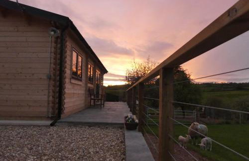 Pound Farm Holidays - Orchard Lodge - Photo 17