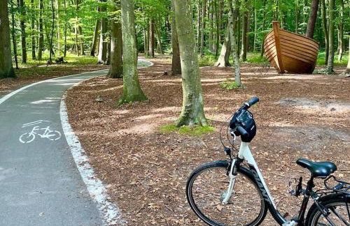 Garden Baltic - Foto 25