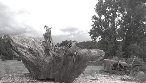 Gite Ramana - Foto 4