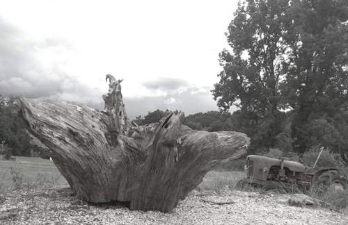 Gite Ramana - Foto 4