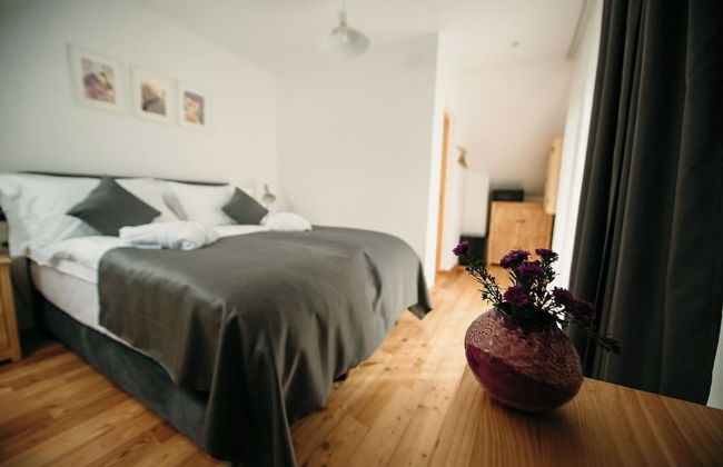 PurpleVague - Photo 13