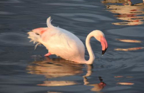 Poetto Casa Bach Ck - Foto 32