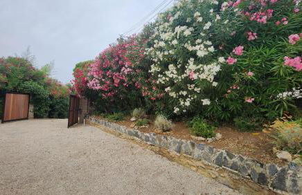 Villa Argonaute - Photo 8