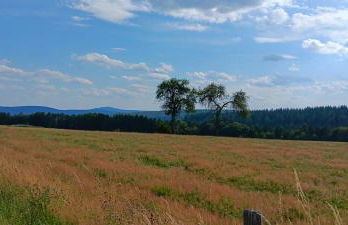 s' Kännele Ferienwohnungen - Foto 55