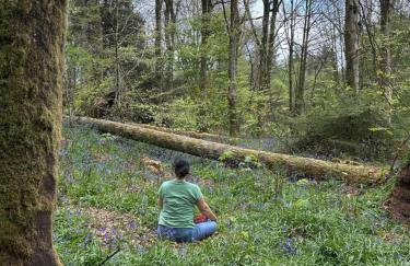 Disdow House - Foto 69