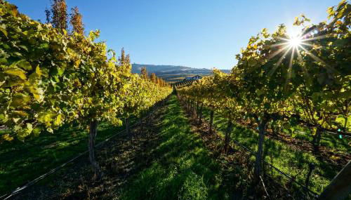 Our View Point - Foto 2