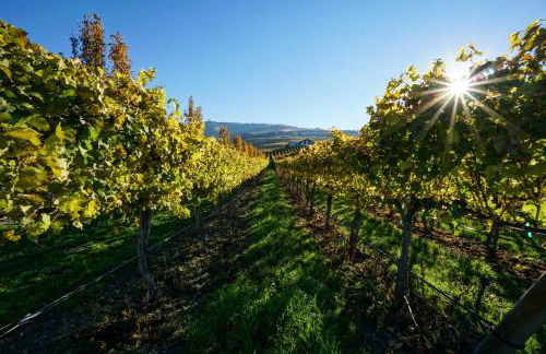 Our View Point - Foto 2