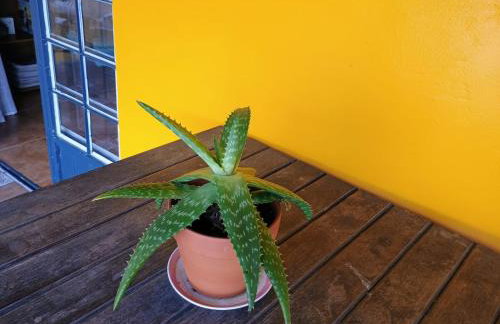 Casa da Flor - Photo 22