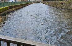 Southbridge Studio - Foto 23