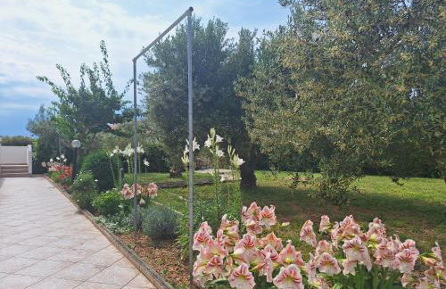 Apartments Donadic III, Caska - Photo 17