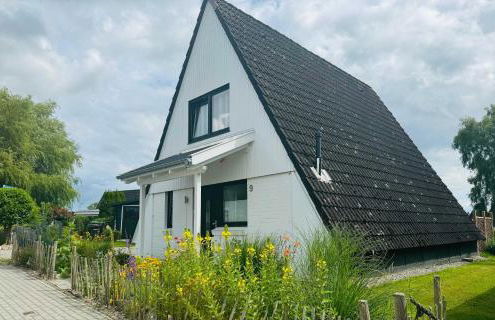 Sternkieker - Photo 22