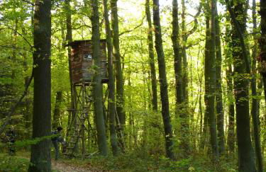 Ferienwohnung Bappert - Foto 12