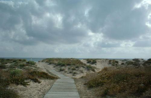 Oliva Nova Golf - Photo 14