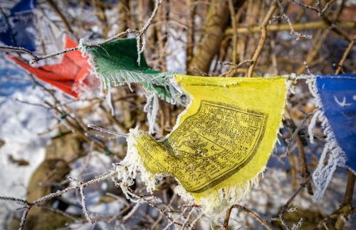 Ferienwohnung am Kunterbunthof - Foto 26