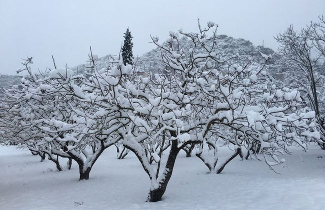 260m2 Unique Mountain House in Lilea Parnasos - Foto 78