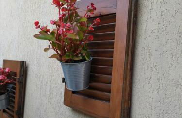 GreenHouse_Anzio - Photo 8