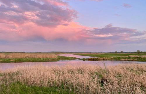 Skrzydła Biebrzy- Eco Cottage nad rzeką Narwią - Biebrza NP - Foto 17