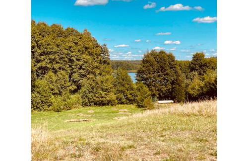 Forest Mood - Foto 63