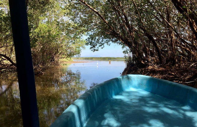 Excursion to Tres Palos Lagoon & Crocodile Reserve - Foto 4