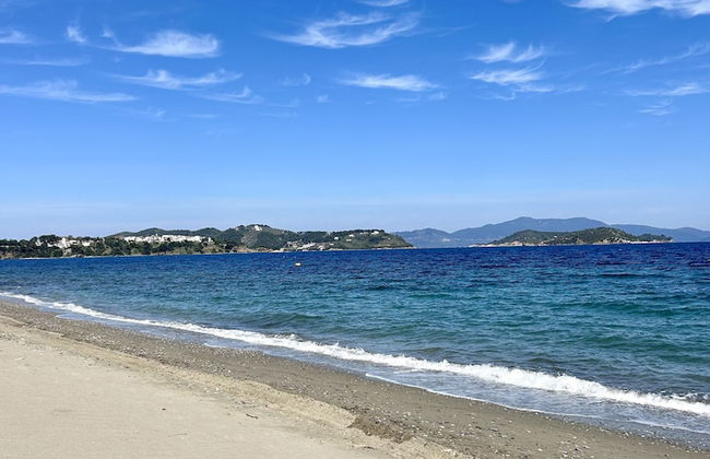 Golden King - Foto 54