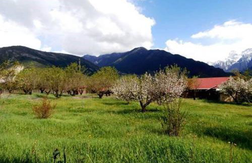 Villa Rustica - Photo 126