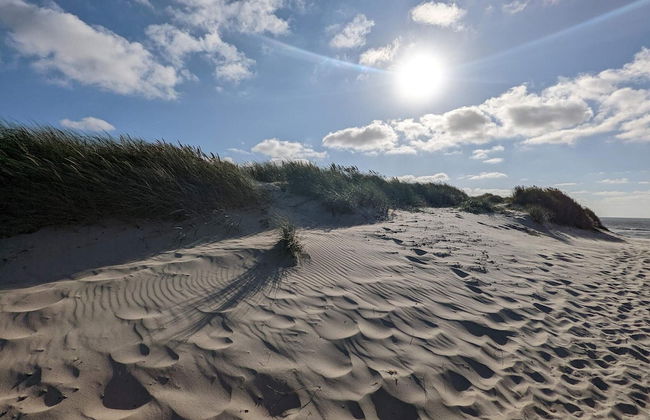 20 Person Holiday Home in Norre Nebel - Foto 24