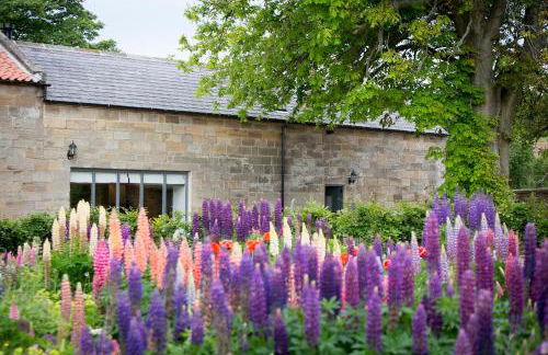 Chestnut Barn Cottage Whitby - Photo 1