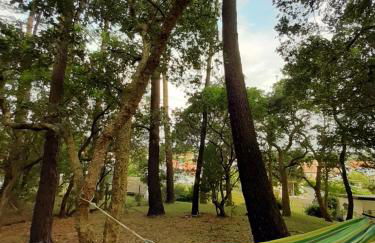 La maison de Maritxu - Entre plage et foret - Landes - Pays Basque - Foto 7