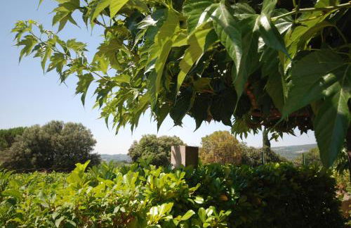 Le Grand Barsan - Photo 15