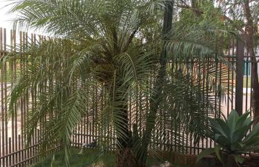 Chale para temporada - Bonito MS - Foto 36