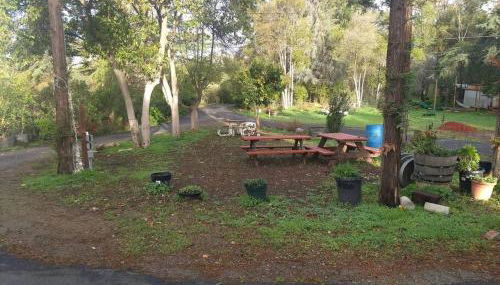 Farm house retreat on the hills near BART - Foto 5