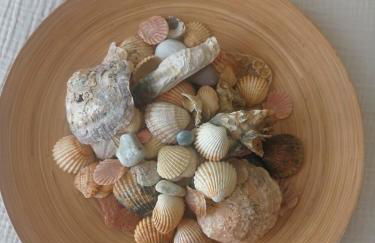 Casa Vila Rosa - T1 Altura Beach - Photo 14