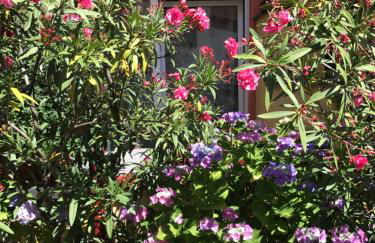 Ferienwohnung Vino Palatina - Foto 20