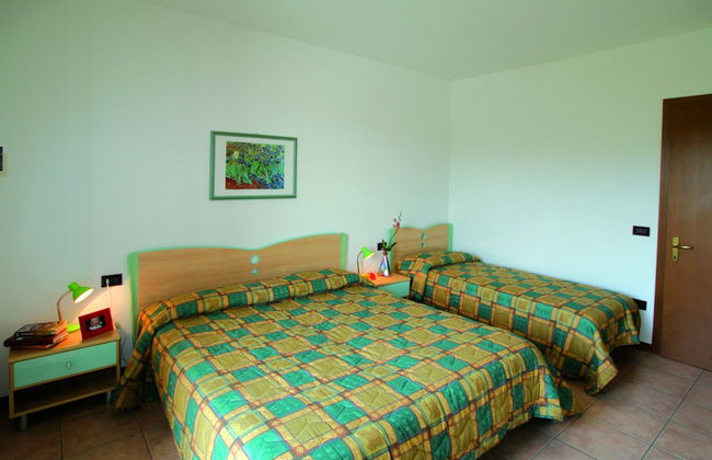 Calycanthus - Foto 21