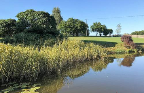 Andrzejówka - Photo 11