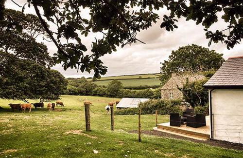 Vine Cottage - Foto 16