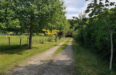 Gîte en lisière de forêt andaine - Foto 18