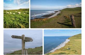 Cosy Cottage in a quaint village in North Devon. - Photo 31