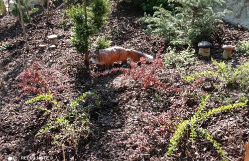 Apartamenty Sowianka - Foto 65